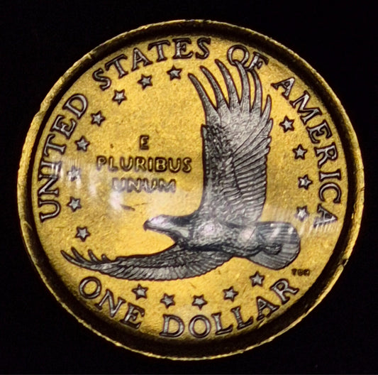 💰2002 P Native American Dollar Platinum and Gold Highlighted Sacagawea