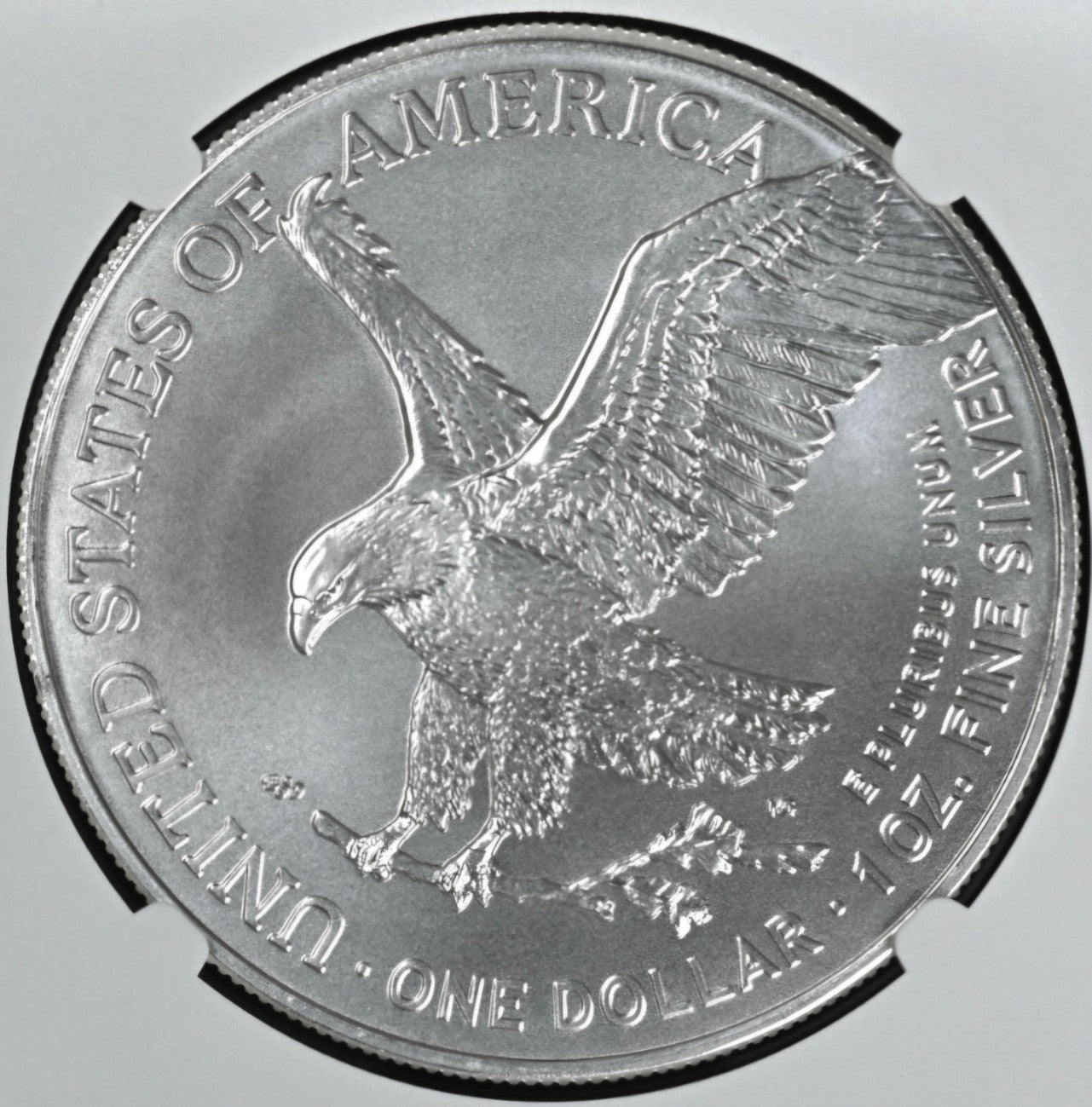 2025 American Silver Eagle $1 NGC MS70 OFFICIAL RED BOOK LABEL .999 Silver