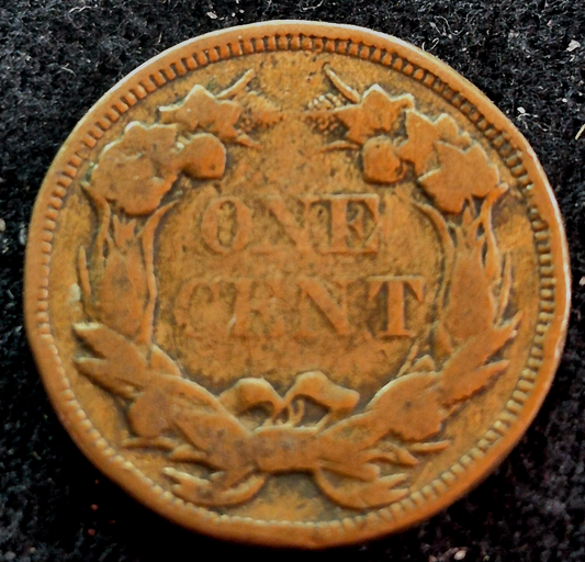 1858 Flying Eagle One Cent Nice Details Small Letter Last of Only 3 Yrs Minted