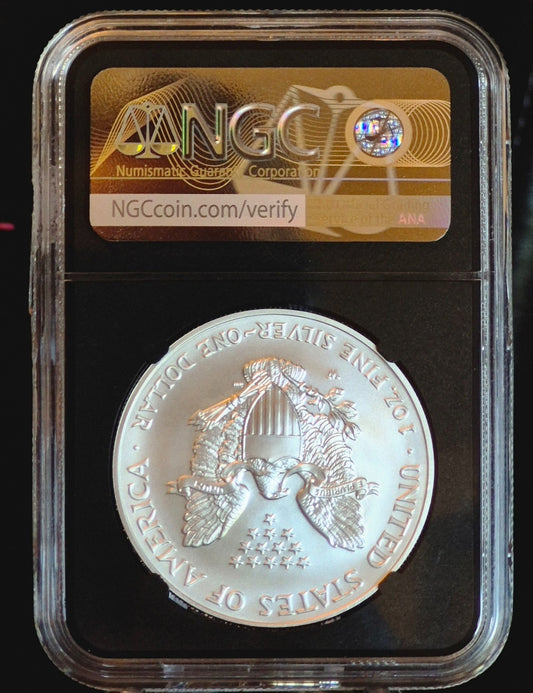 2007 W Burnished American Silver Eagle $1 NGC Graded MS 69 One Ounce .999 Silver