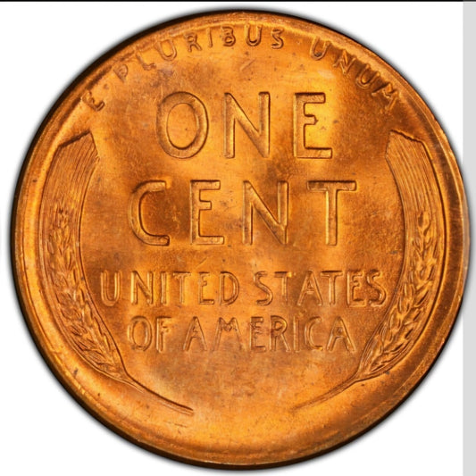 1955 Denver Wheat Back BU Brilliant Uncirculated 1C🔥From OBW Bank Roll🔥