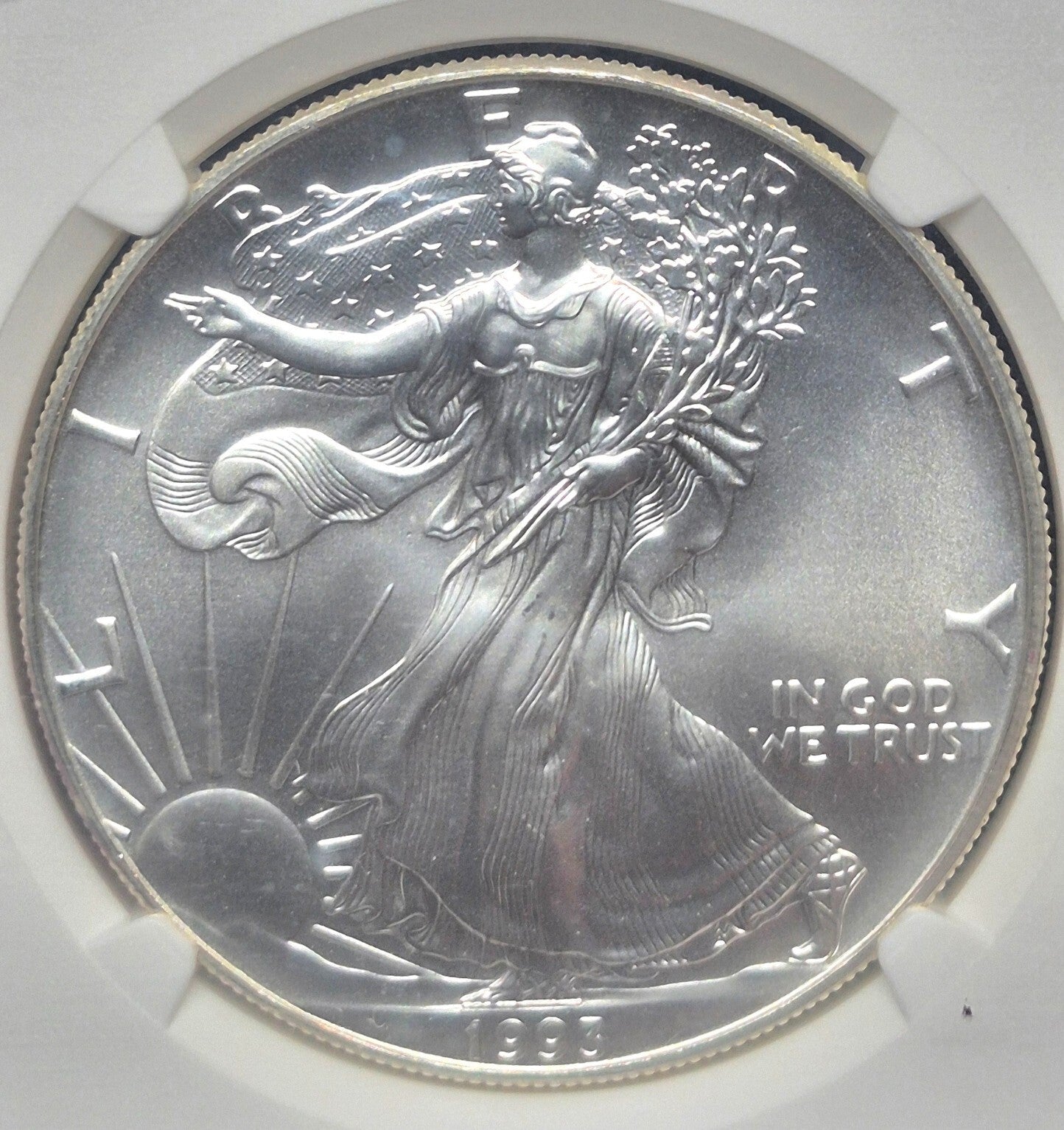 1993 American Silver Eagle One Ounce 99.9 % SILVER NGC 🔥MS69🔥 Brown Label