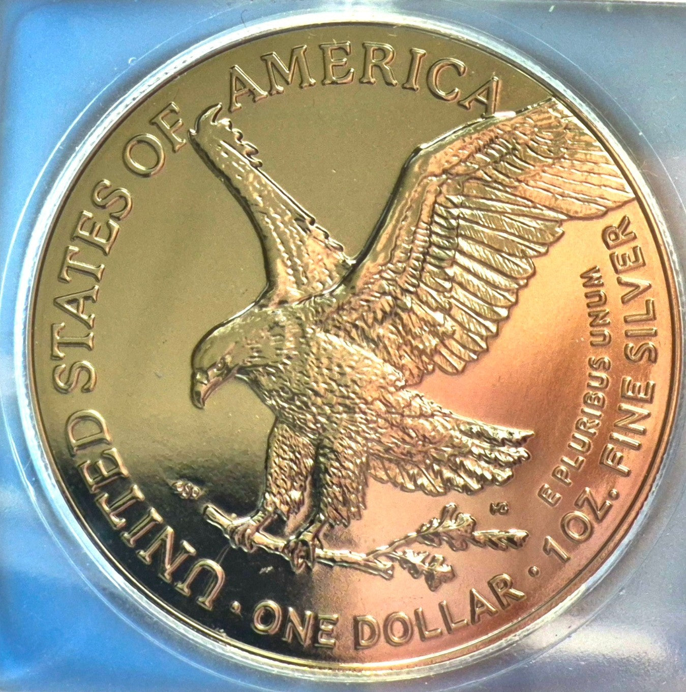 2024 ICG American Silver Eagle Black Ruthenium Edition. 1 oz Silver **1 of 500**