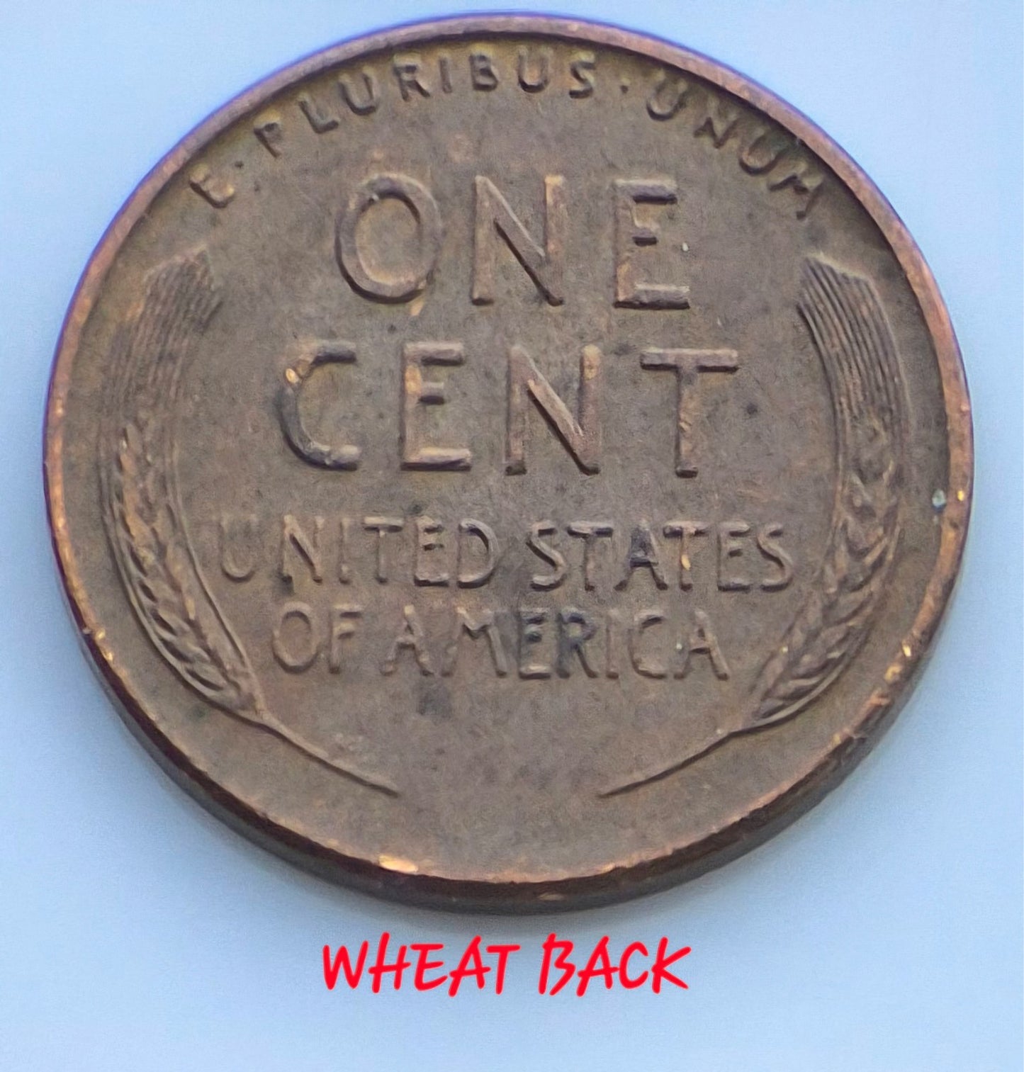 1856-2025 U.S. Sm 1C Set Flying Eagle, Indian, Wheat, Steel, Mem 1 & 2, Shield