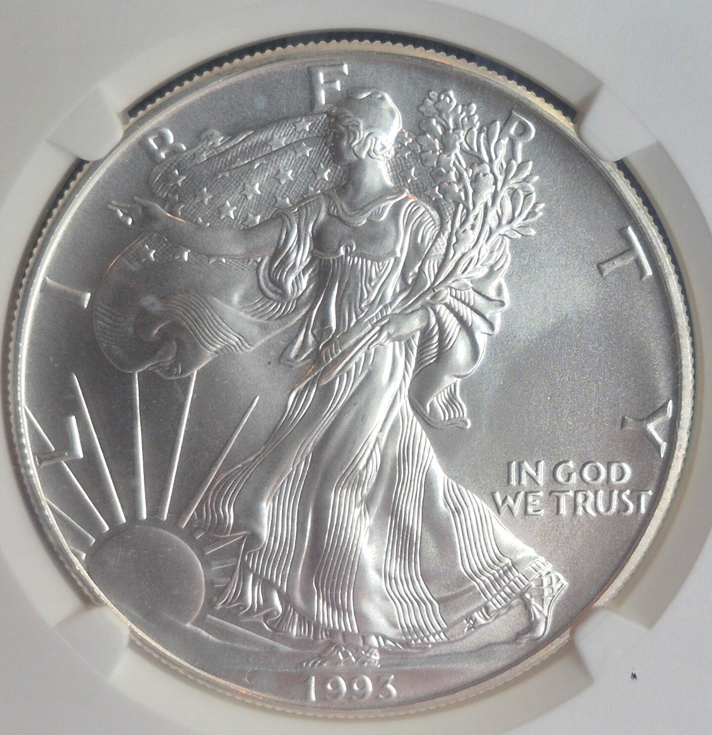 1993 American Silver Eagle One Ounce 99.9 % SILVER NGC 🔥MS69🔥 Brown Label