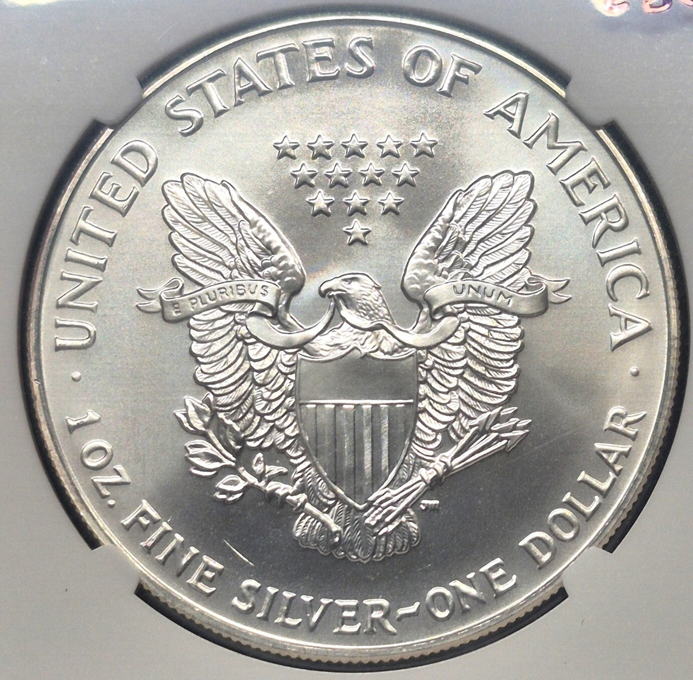 1993 American Silver Eagle One Ounce 99.9 % SILVER NGC 🔥MS69🔥 Brown Label