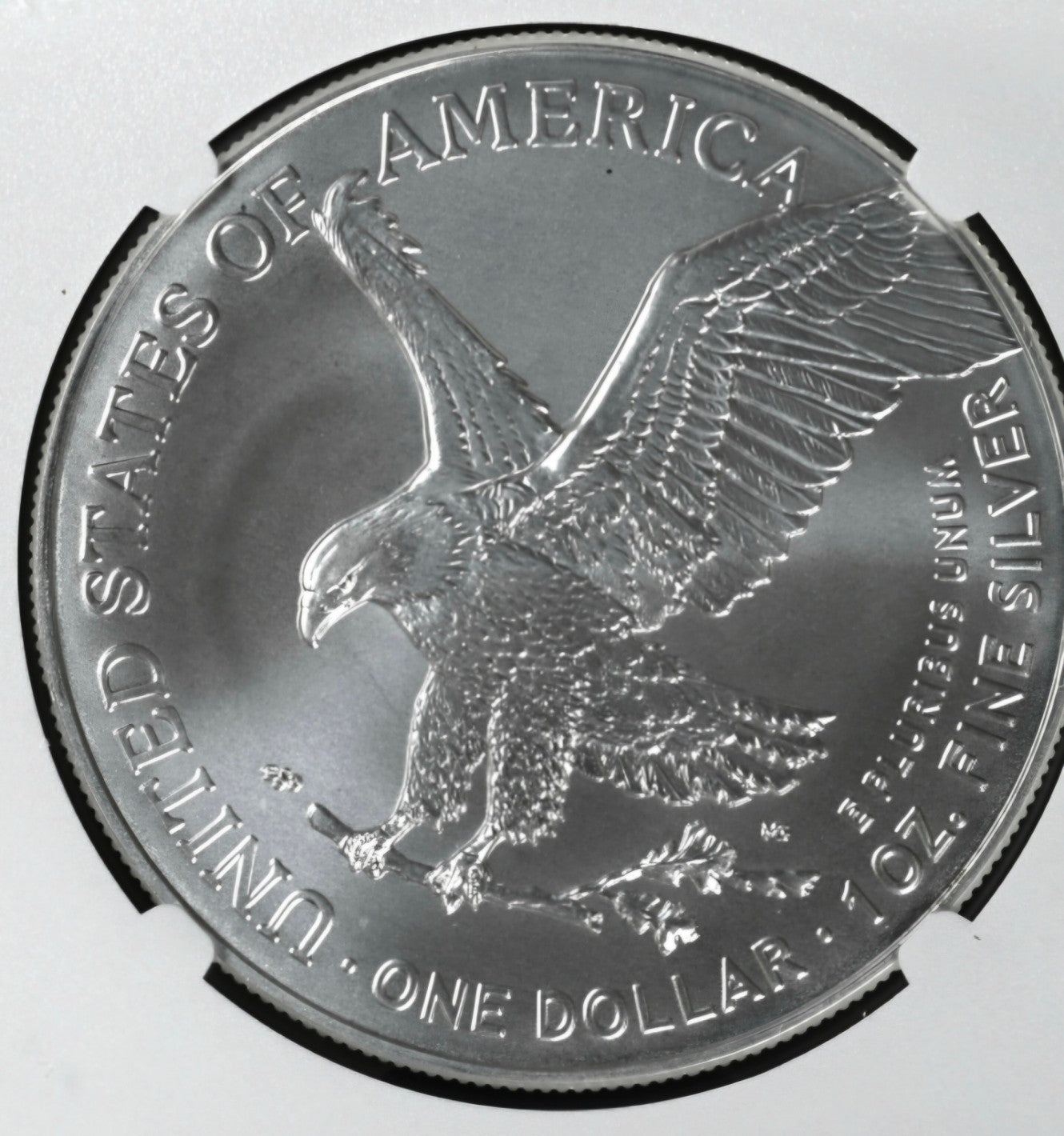 2025 American Silver Eagle $1 NGC MS70 OFFICIAL RED BOOK LABEL .999 Silver