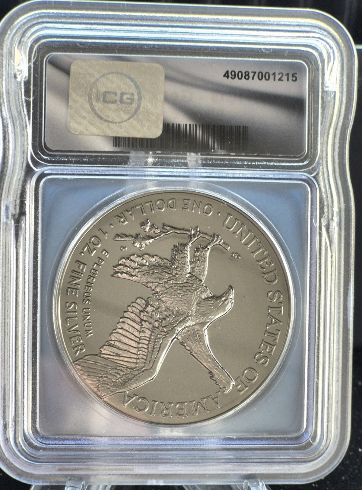 2024 ICG American Silver Eagle Black Ruthenium Edition. 1 oz Silver **1 of 500**