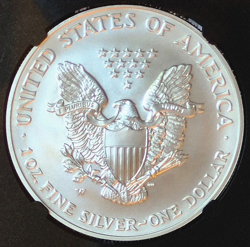 2007 W Burnished American Silver Eagle $1 NGC Graded MS 69 One Ounce .999 Silver