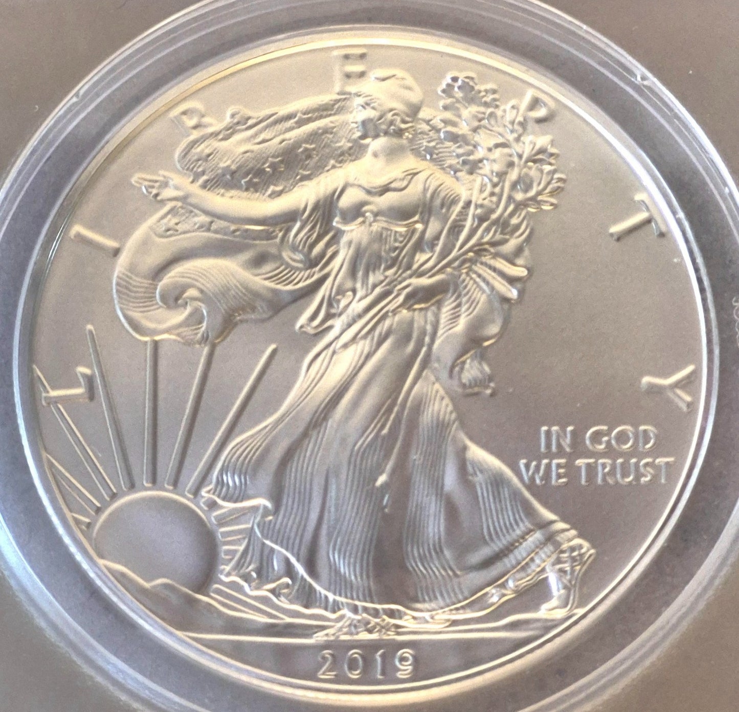 2019 American Silver Eagle One Dollar Coin Graded by ANACS as Near Perfect MS69