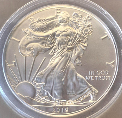 2019 American Silver Eagle One Dollar Coin Graded by ANACS as Near Perfect MS69