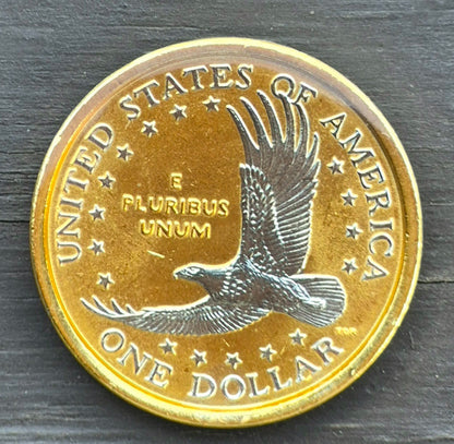 💰2002 P Native American Dollar Platinum and Gold Highlighted Sacagawea