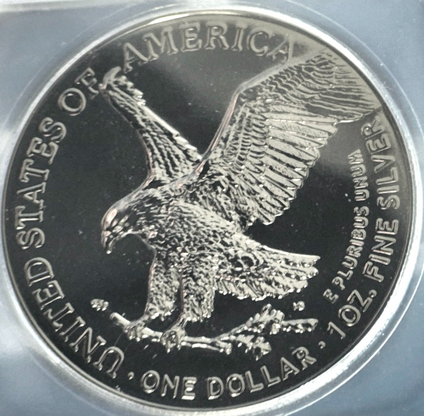 2024 ICG American Silver Eagle Black Ruthenium Edition. 1 oz Silver **1 of 500**