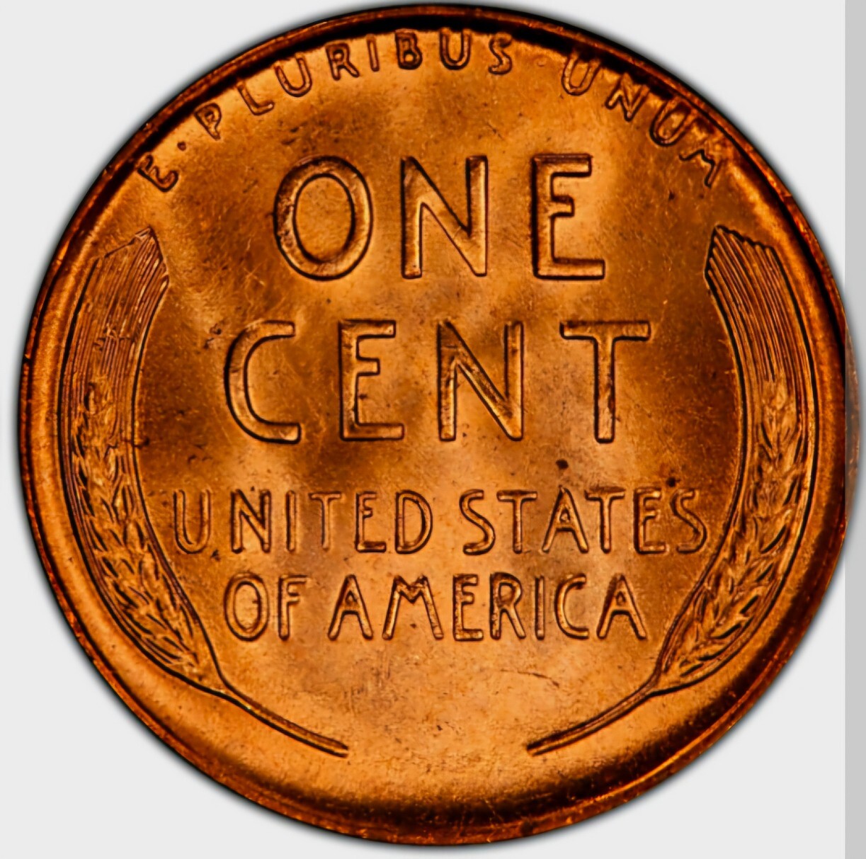 1951 D Wheat Cent BU Brilliant Uncirculated 1C Denver Fed🔥From OBW Bank Roll🔥