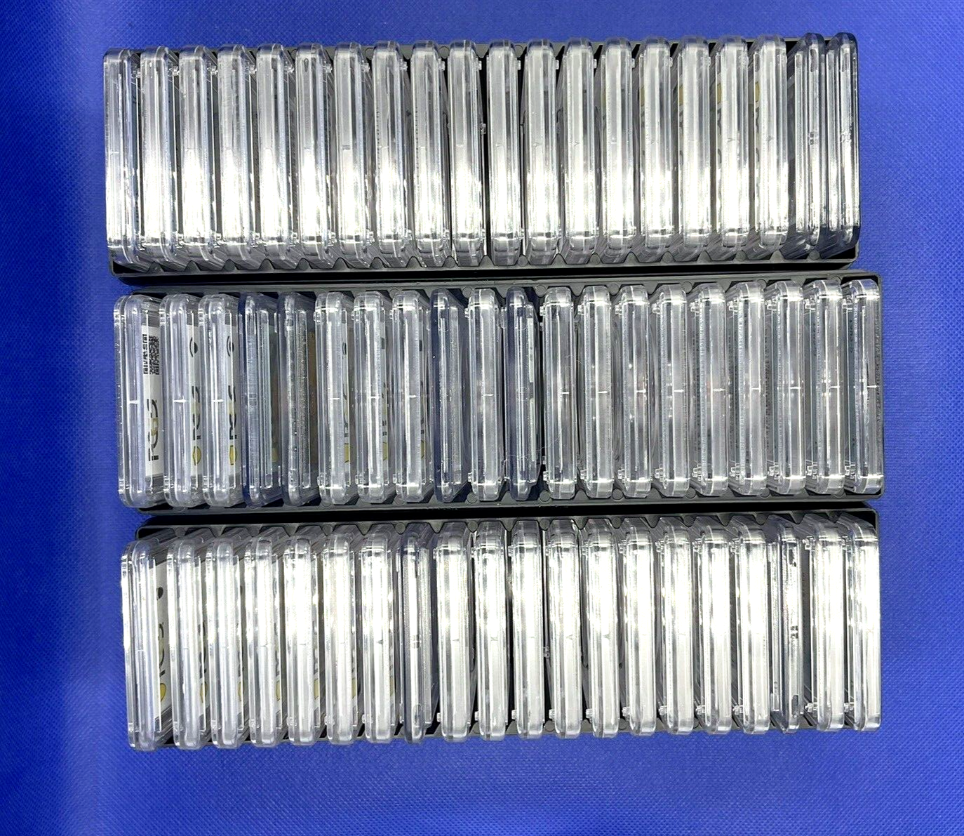 🎯 PCGS NGC GRADED & SLABBED UNCIRCULATED COINS  🇺🇸 USA MINTS  ✅ QTY BONUS 🏆