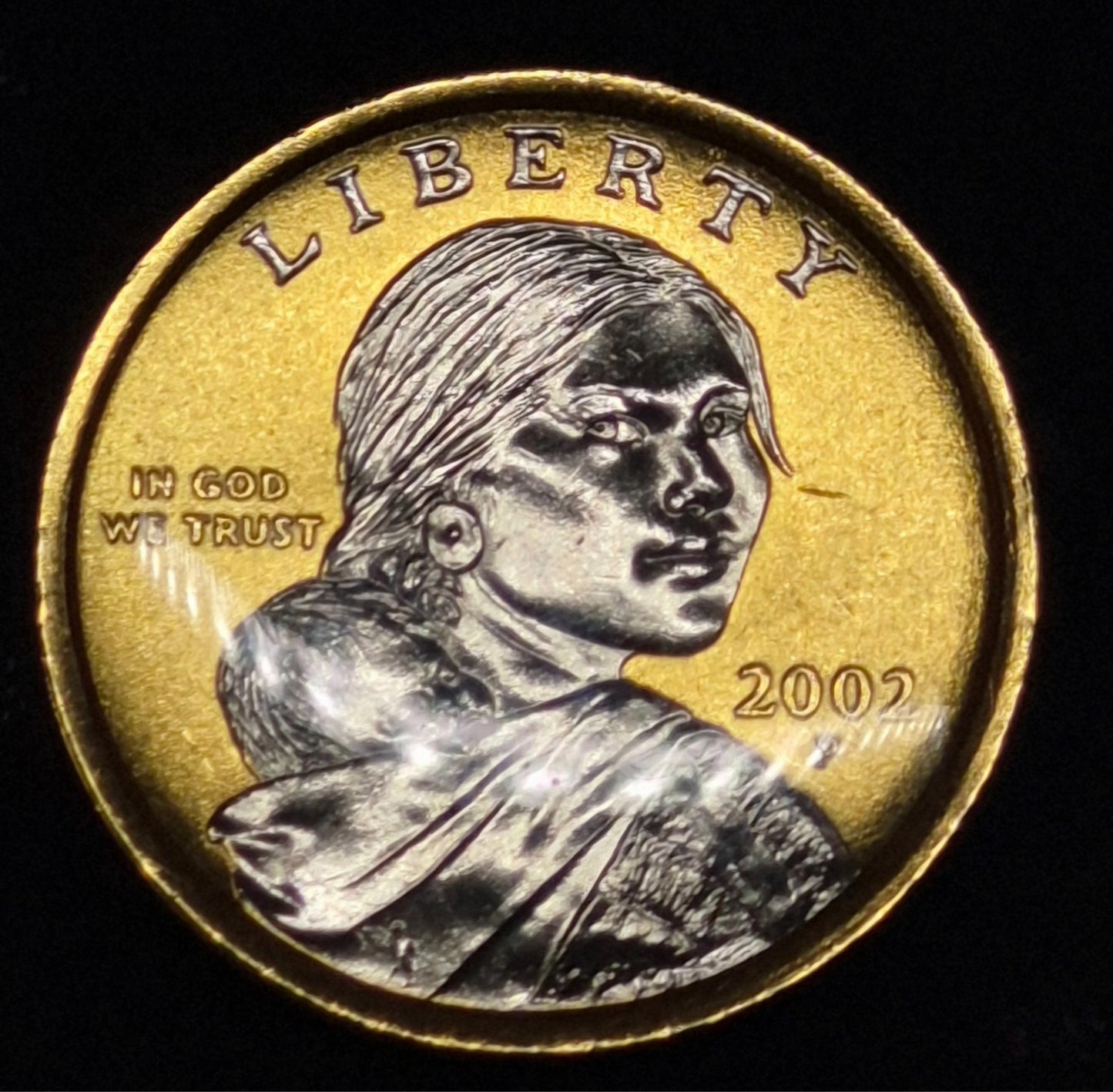 💰2002 P Native American Dollar Platinum and Gold Highlighted Sacagawea