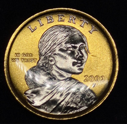 💰2002 P Native American Dollar Platinum and Gold Highlighted Sacagawea