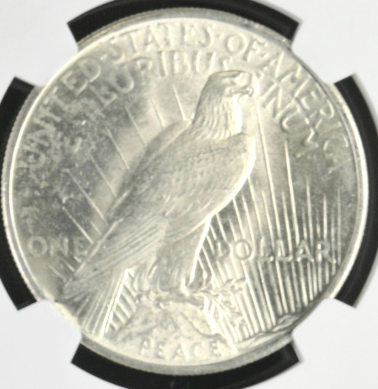 1925 MS62 Peace Silver Dollar 100th Anniversary 2021 Special Label NGC Graded