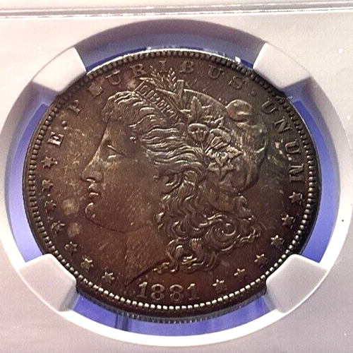 1881 S Morgan Silver NGC Graded MS65 $1 Dollar 90% Fine Beautiful Toned Coin