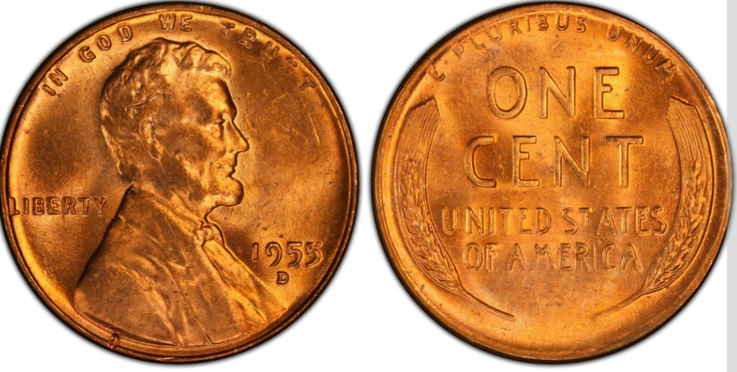 1955 Denver Wheat Back BU Brilliant Uncirculated 1C🔥From OBW Bank Roll🔥