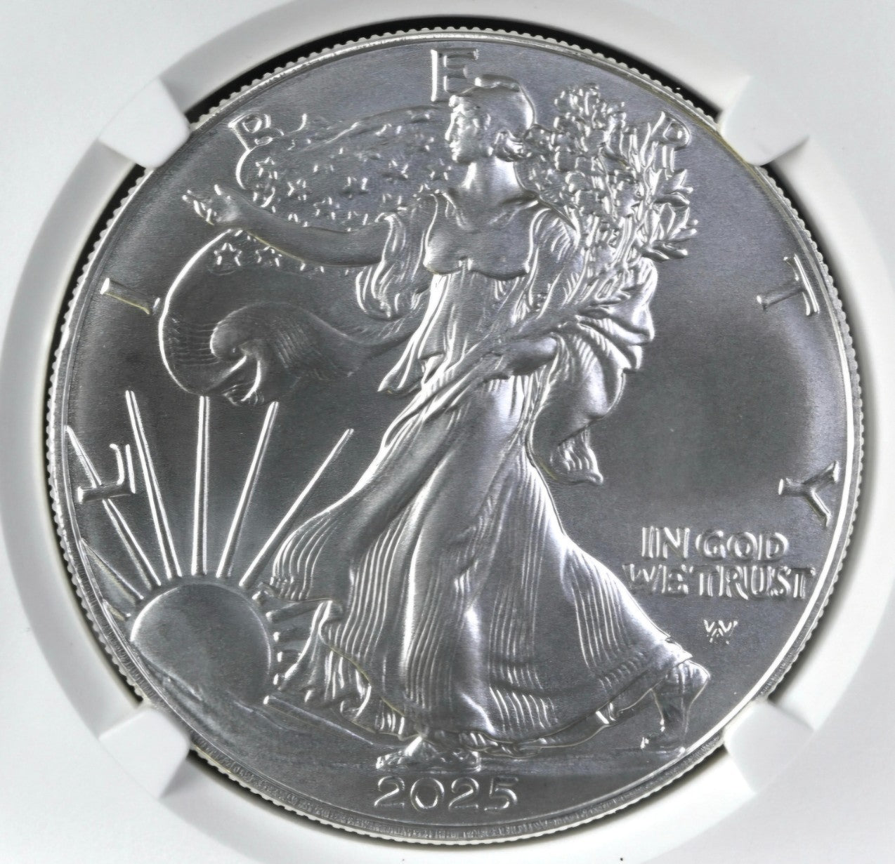 2025 American Silver Eagle $1 NGC MS70 OFFICIAL RED BOOK LABEL .999 Silver
