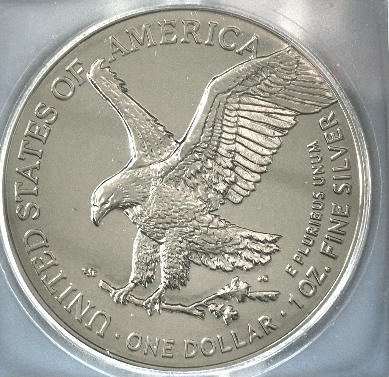 2024 ICG American Silver Eagle Black Ruthenium Edition. 1 oz Silver **1 of 500**