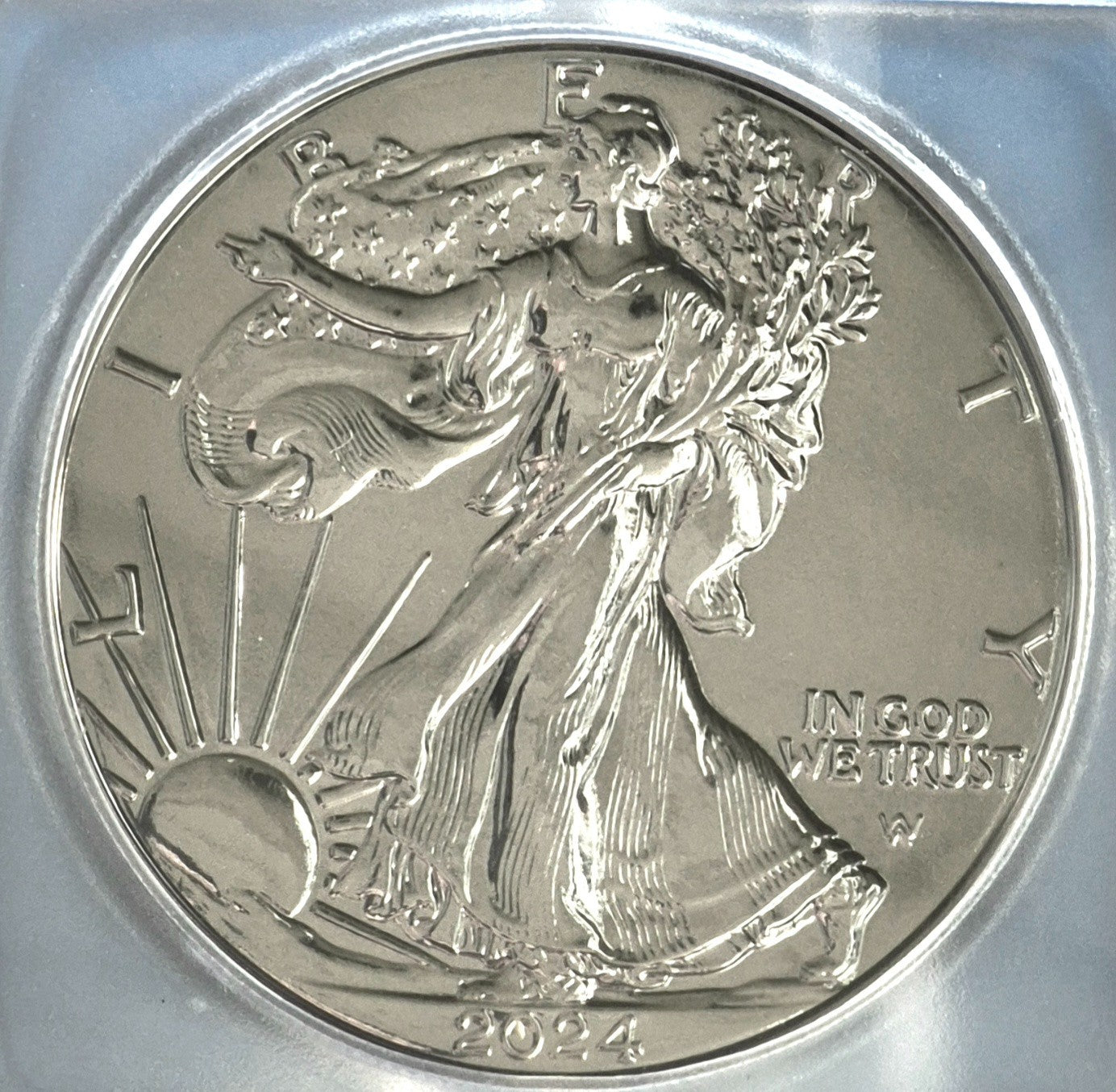 2024 ICG American Silver Eagle Black Ruthenium Edition. 1 oz Silver **1 of 500**