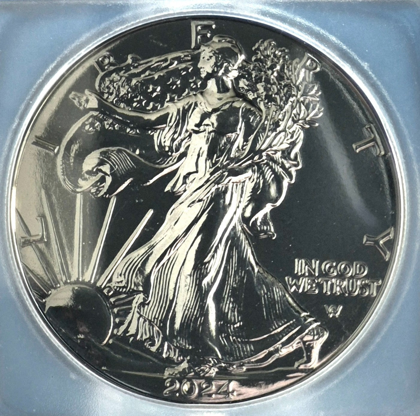 2024 ICG American Silver Eagle Black Ruthenium Edition. 1 oz Silver **1 of 500**