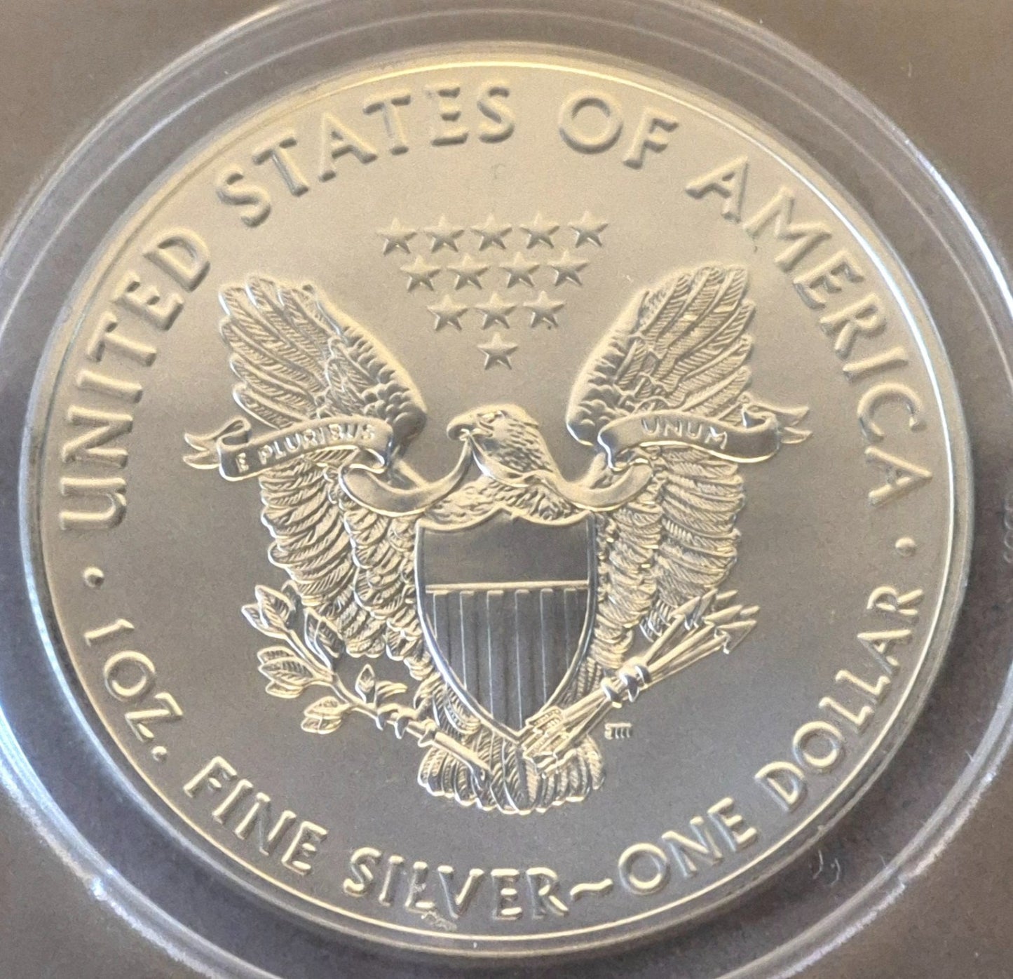 2019 American Silver Eagle One Dollar Coin Graded by ANACS as Near Perfect MS69